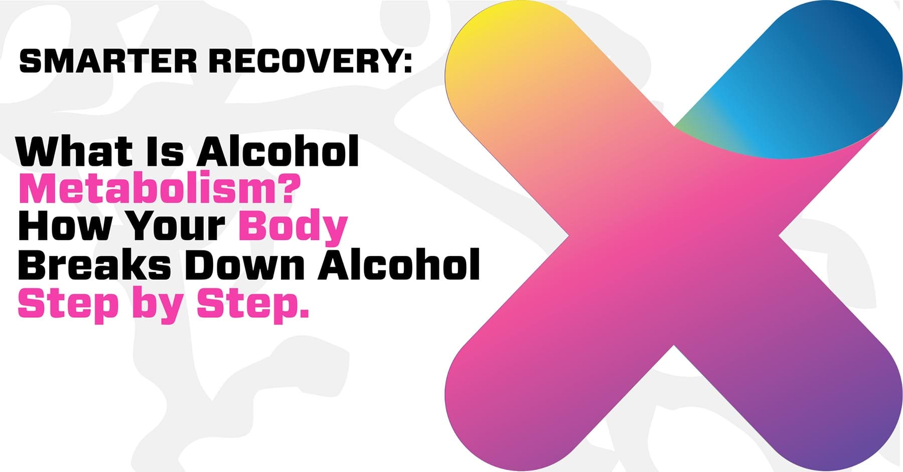 How Your Body Breaks Down Alcohol Step by Step | Untoxicate